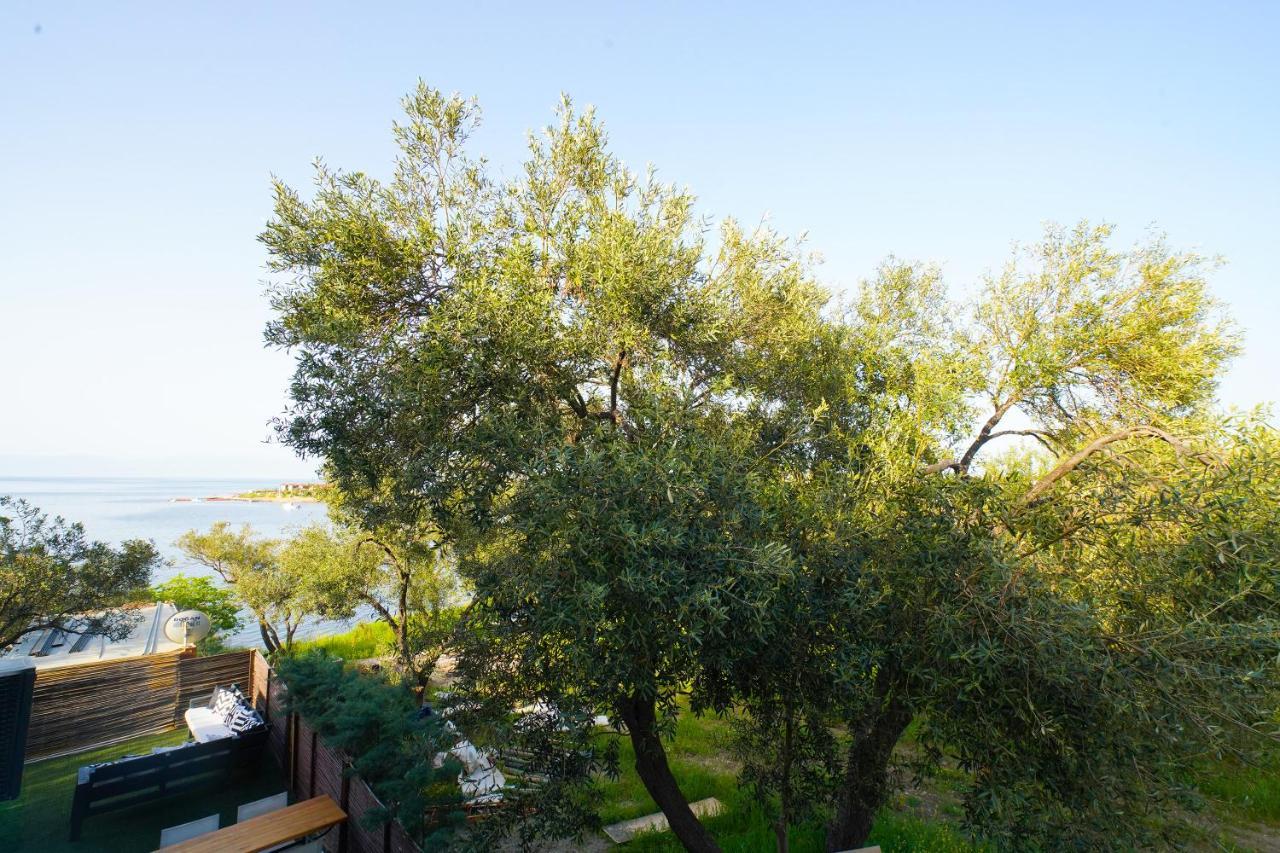 Qcunda Otel Ayvalik Luaran gambar